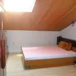 Simpa * Njivice